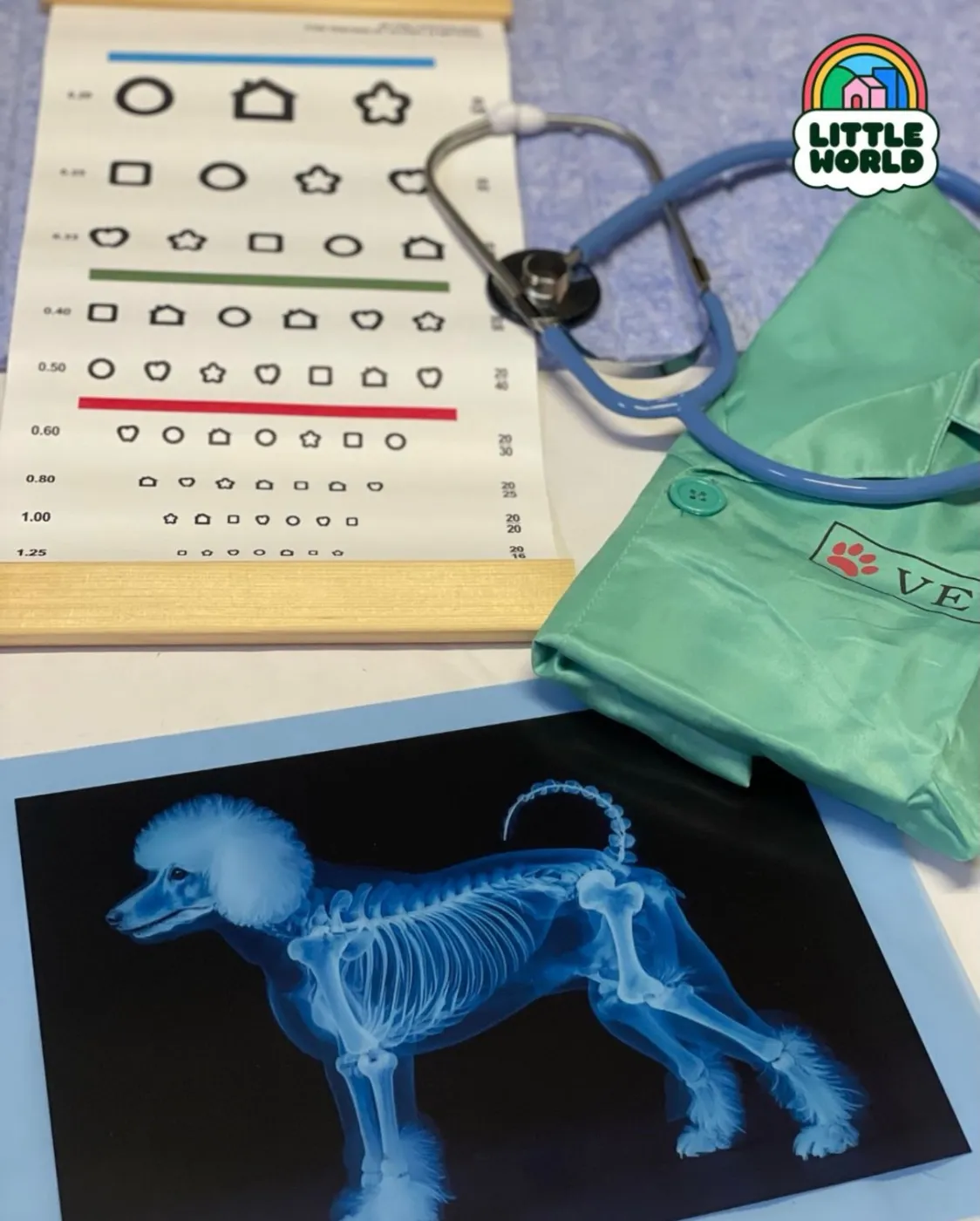 The Vet Clinic at Little World